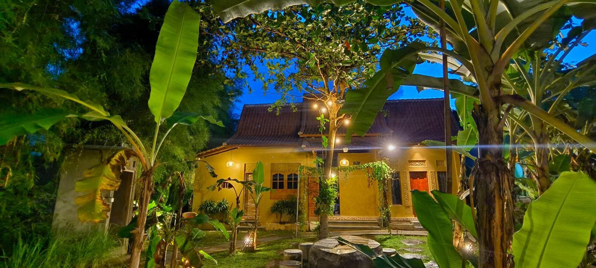 Damuh Guest House Ubud Exteriér fotografie